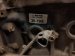 2000 Toyota Tacoma Long Block Engine / Motor = 65k Mi 19000 75510 Replacement 2000 Toyota Tacoma Long Block Engine / Motor = 65k Mi 19000 75510 Replacement thumbnail