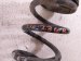2020 Infiniti Qx60 Strut / / Shock Absorber Rear Coil Spring 3.5l Fwd 55020 9NF0A Replacement 2020 Infiniti Qx60 Strut / / Shock Absorber Rear Coil Spring 3.5l Fwd 55020 9NF0A Replacement thumbnail