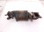 2023 Honda Ridgeline Front Exhaust Manifold W/conv 3.5l 18180 5MJ A00 Replacement 2023 Honda Ridgeline Front Exhaust Manifold W/conv 3.5l 18180 5MJ A00 Replacement thumbnail