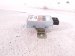 2020 Infiniti Qx60 Fuel Pump Control Module 3.5l Fwd 170015AA1A Replacement 2020 Infiniti Qx60 Fuel Pump Control Module 3.5l Fwd 170015AA1A Replacement thumbnail