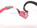 2018 BMW X5 Positive Battery Cable 3.0l 61129314519 Replacement 2018 BMW X5 Positive Battery Cable 3.0l 61129314519 Replacement thumbnail