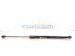 2021 Chevy Blazer Driver Liftgate Shock Strut 88964058 Replacement 2021 Chevy Blazer Driver Liftgate Shock Strut 88964058 Replacement thumbnail