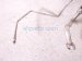 2024 Toyota Rav 4 Ac Pipe Line A/c Suction Hose 2.5l Fwd 88710 0R040 Replacement 2024 Toyota Rav 4 Ac Pipe Line A/c Suction Hose 2.5l Fwd 88710 0R040 Replacement thumbnail