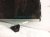2011 Porsche Panamera Front Driver Door Glass Window 970 542 511 10 Replacement 2011 Porsche Panamera Front Driver Door Glass Window 970 542 511 10 Replacement thumbnail