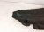 2021 Acura TLX Rear Passenger Inner Fender Liner 74540 TGV A10 Replacement 2021 Acura TLX Rear Passenger Inner Fender Liner 74540 TGV A10 Replacement thumbnail