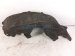2023 Honda CR V Rear Passenger Inner Fender Liner 74550 3A0 A00 Replacement 2023 Honda CR V Rear Passenger Inner Fender Liner 74550 3A0 A00 Replacement thumbnail
