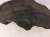 2024 Toyota Rav 4 Rear Passenger Inner Fender Liner 65637 0R020 Replacement 2024 Toyota Rav 4 Rear Passenger Inner Fender Liner 65637 0R020 Replacement thumbnail
