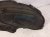 2024 Toyota Rav 4 Rear Passenger Inner Fender Liner 65637 0R020 Replacement 2024 Toyota Rav 4 Rear Passenger Inner Fender Liner 65637 0R020 Replacement thumbnail