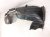 2018 Honda Odyssey Front Driver Inner Fender Liner 74151 THR A70 Replacement 2018 Honda Odyssey Front Driver Inner Fender Liner 74151 THR A70 Replacement thumbnail