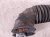 2024 Mazda Cx 50 Air Intake Hose 2.5l Turbo PX4N 13 221 Replacement 2024 Mazda Cx 50 Air Intake Hose 2.5l Turbo PX4N 13 221 Replacement thumbnail