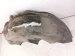 2022 Honda Passport Rear Driver Inner Fender Liner 74556 TGS A00 Replacement 2022 Honda Passport Rear Driver Inner Fender Liner 74556 TGS A00 Replacement thumbnail