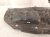 2025 Kia Carnival Gas / Fuel Tank 31150 R0510 Replacement 2025 Kia Carnival Gas / Fuel Tank 31150 R0510 Replacement thumbnail