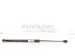 2021 Chevy Blazer Passenger Liftgate Shock Strut 42441531 Replacement 2021 Chevy Blazer Passenger Liftgate Shock Strut 42441531 Replacement thumbnail