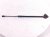 2024 Mazda Cx 50 Front Driver Hood Shock Strut VA40 56 670 Replacement 2024 Mazda Cx 50 Front Driver Hood Shock Strut VA40 56 670 Replacement thumbnail