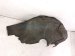 2021 Lexus Is300 Rear Driver Inner Fender Liner 65638 53050 Replacement 2021 Lexus Is300 Rear Driver Inner Fender Liner 65638 53050 Replacement thumbnail