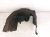 2021 Lexus Is300 Rear Driver Inner Fender Liner 65638 53050 Replacement 2021 Lexus Is300 Rear Driver Inner Fender Liner 65638 53050 Replacement thumbnail