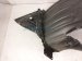 2022 Honda Odyssey Front Passenger Inner Fender Liner 74101 THR A70 Replacement 2022 Honda Odyssey Front Passenger Inner Fender Liner 74101 THR A70 Replacement thumbnail