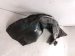 2018 Honda Odyssey Front Driver Inner Fender Liner 74151 THR A01 Replacement 2018 Honda Odyssey Front Driver Inner Fender Liner 74151 THR A01 Replacement thumbnail