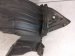 2018 Honda Odyssey Front Driver Inner Fender Liner 74151 THR A01 Replacement 2018 Honda Odyssey Front Driver Inner Fender Liner 74151 THR A01 Replacement thumbnail