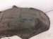 2022 Honda Odyssey Rear Passenger Inner Fender Liner 74551 THR A00 Replacement 2022 Honda Odyssey Rear Passenger Inner Fender Liner 74551 THR A00 Replacement thumbnail