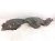 2021 Honda Accord Front Driver Inner Fender Liner 74150 TVA A00 Replacement 2021 Honda Accord Front Driver Inner Fender Liner 74150 TVA A00 Replacement thumbnail