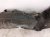 2018 Honda Clarity Rear Driver Inner Fender Liner 74590 TRW A00 Replacement 2018 Honda Clarity Rear Driver Inner Fender Liner 74590 TRW A00 Replacement thumbnail