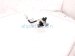 2022 Toyota Sienna Negative Battery Cable W/sensor 82163 08080 Replacement 2022 Toyota Sienna Negative Battery Cable W/sensor 82163 08080 Replacement thumbnail