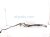 2023 Honda Ridgeline Transmission Oil Cooler Lines 3.5l 25230 5MK 016 Replacement 2023 Honda Ridgeline Transmission Oil Cooler Lines 3.5l 25230 5MK 016 Replacement thumbnail