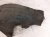 2019 Honda Civic Rear Driver Inner Fender Liner 74592 TGG A01 Replacement 2019 Honda Civic Rear Driver Inner Fender Liner 74592 TGG A01 Replacement thumbnail
