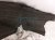 2019 Honda Civic Rear Driver Inner Fender Liner 74592 TGG A01 Replacement 2019 Honda Civic Rear Driver Inner Fender Liner 74592 TGG A01 Replacement thumbnail