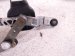 2024 Mazda Cx 50 Front Arms Frt Windshield Wiper Motor & Linkage VA45 67 37XB Replacement 2024 Mazda Cx 50 Front Arms Frt Windshield Wiper Motor & Linkage VA45 67 37XB Replacement thumbnail