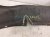 2000 Toyota Tacoma Rear Driver Inner Fender Liner 65638 04020 Replacement 2000 Toyota Tacoma Rear Driver Inner Fender Liner 65638 04020 Replacement thumbnail