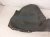 2022 Honda Odyssey Front Driver Inner Fender Liner 74151 THR A01 Replacement 2022 Honda Odyssey Front Driver Inner Fender Liner 74151 THR A01 Replacement thumbnail