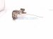 2001 Nissan Frontier Front Passenger Door Lock Actuator 80552 9Z400 Replacement 2001 Nissan Frontier Front Passenger Door Lock Actuator 80552 9Z400 Replacement thumbnail