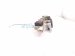 2001 Nissan Frontier Front Passenger Door Lock Actuator 80552 9Z400 Replacement 2001 Nissan Frontier Front Passenger Door Lock Actuator 80552 9Z400 Replacement thumbnail