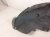 2019 Honda Pilot Rear Passenger Inner Fender Liner 74551 TG7 A00 Replacement 2019 Honda Pilot Rear Passenger Inner Fender Liner 74551 TG7 A00 Replacement thumbnail