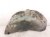 2022 Honda Passport Rear Passenger Inner Fender Liner 74551 TGS A00 Replacement 2022 Honda Passport Rear Passenger Inner Fender Liner 74551 TGS A00 Replacement thumbnail