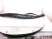 2025 Honda CR V Driver Tailgate Pinch Sensor W/trim 74954 3A0 A51 Replacement 2025 Honda CR V Driver Tailgate Pinch Sensor W/trim 74954 3A0 A51 Replacement thumbnail