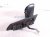 2021 Toyota C HR Rear Passenger Side View Mirror Missing Cover 87910 F4062 Replacement 2021 Toyota C HR Rear Passenger Side View Mirror Missing Cover 87910 F4062 Replacement thumbnail