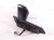 2021 Toyota C HR Rear Driver Side View Mirror Red 87940 F4062 Replacement 2021 Toyota C HR Rear Driver Side View Mirror Red 87940 F4062 Replacement thumbnail
