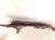 2021 Honda CR V Front Driver Fender Red 60261 TLA A00ZZ Replacement 2021 Honda CR V Front Driver Fender Red 60261 TLA A00ZZ Replacement thumbnail