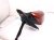 2021 Honda CR V Rear Passenger Side View Mirror Red 76208 TLA A31 Replacement 2021 Honda CR V Rear Passenger Side View Mirror Red 76208 TLA A31 Replacement thumbnail