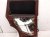 2021 Honda CR V Rear Driver Door Red No Inside Trim 67550 TLA A00ZZ Replacement 2021 Honda CR V Rear Driver Door Red No Inside Trim 67550 TLA A00ZZ Replacement thumbnail