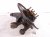 2022 Subaru Ascent Axle Stub Rear Driver Spindle Knuckle Hub 28411XC01A Replacement 2022 Subaru Ascent Axle Stub Rear Driver Spindle Knuckle Hub 28411XC01A Replacement thumbnail