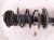 2022 Subaru Ascent Front Passenger Strut Absorber + Spring 20310XC03E Replacement 2022 Subaru Ascent Front Passenger Strut Absorber + Spring 20310XC03E Replacement thumbnail