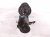 2022 Subaru Ascent Front Driver Strut Absorber + Spring 20310XC03E Replacement 2022 Subaru Ascent Front Driver Strut Absorber + Spring 20310XC03E Replacement thumbnail