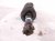 2022 Subaru Ascent Rear Passenger Strut Absorber + Spring 20365XC01B Replacement 2022 Subaru Ascent Rear Passenger Strut Absorber + Spring 20365XC01B Replacement thumbnail
