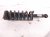2022 Subaru Ascent Rear Driver Strut Absorber + Spring 20365XC01B Replacement 2022 Subaru Ascent Rear Driver Strut Absorber + Spring 20365XC01B Replacement thumbnail