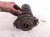 2022 Subaru Ascent Rear Driver Strut Absorber + Spring 20365XC01B Replacement 2022 Subaru Ascent Rear Driver Strut Absorber + Spring 20365XC01B Replacement thumbnail