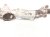 2022 Subaru Ascent And / Gear Box Power Steering Rack & Pinion 34110XC02E Replacement 2022 Subaru Ascent And / Gear Box Power Steering Rack & Pinion 34110XC02E Replacement thumbnail